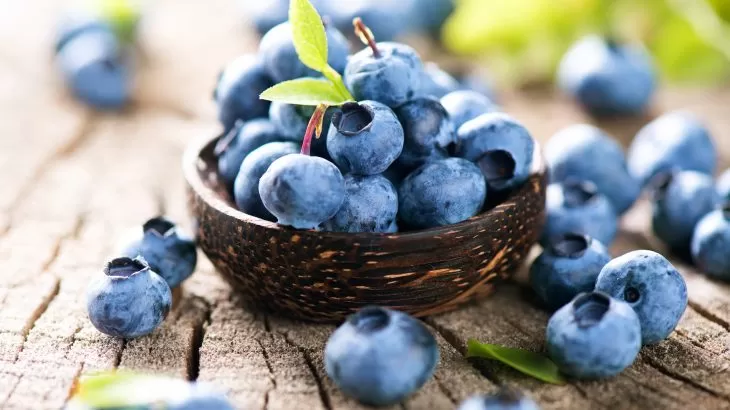 editor_6a01550ab63c32.10407757.webp