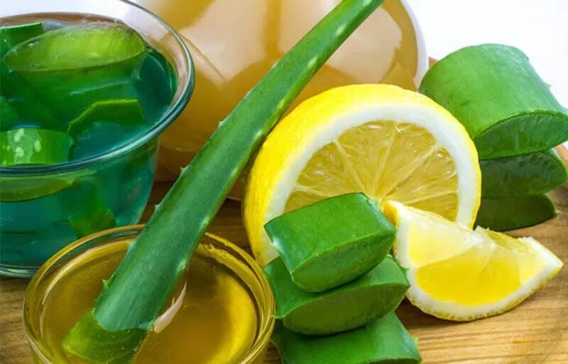 CÁCH SỬ DỤNG NHA ĐAM ĐỂ TRỊ MỤN HIỆU QUẢ